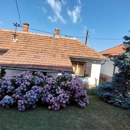 Apartman Nebojsa Rudnik Exterior photo
