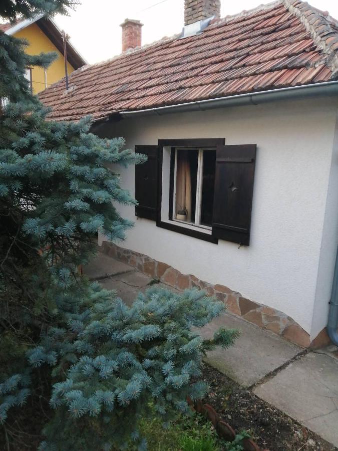Apartment Nebojsa Rudnik