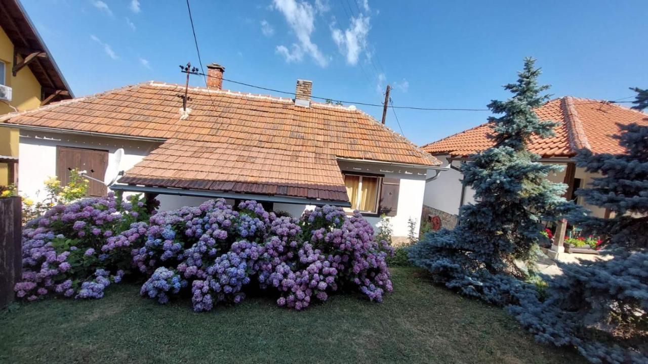 Nebojsa Apartment *