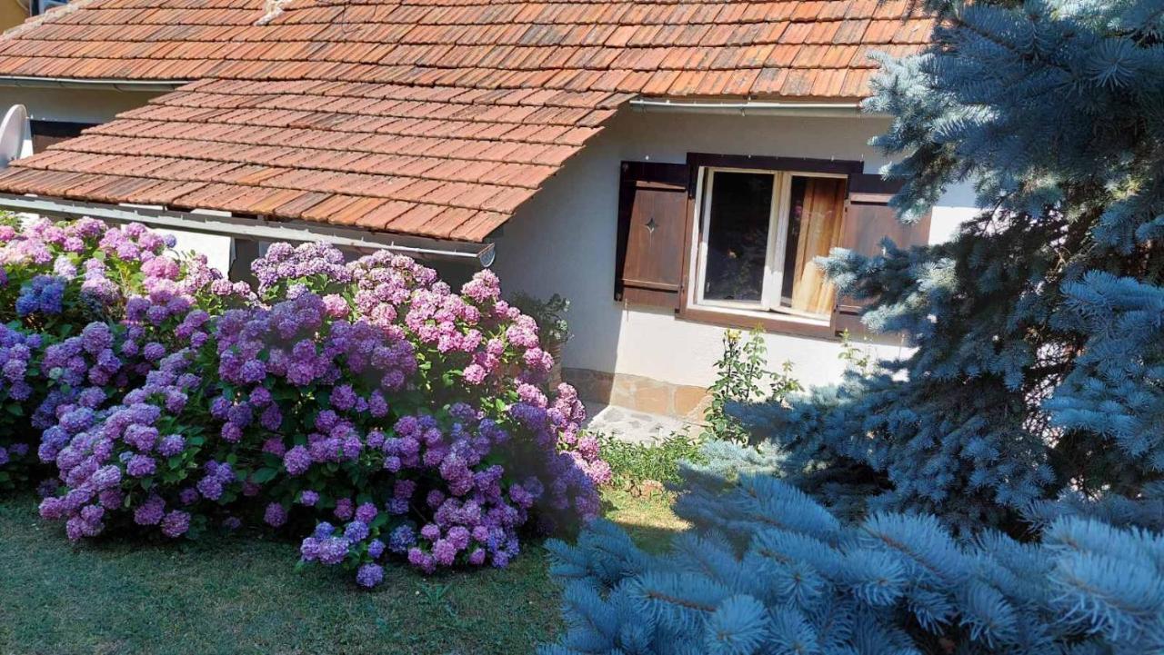 Nebojsa * Rudnik
