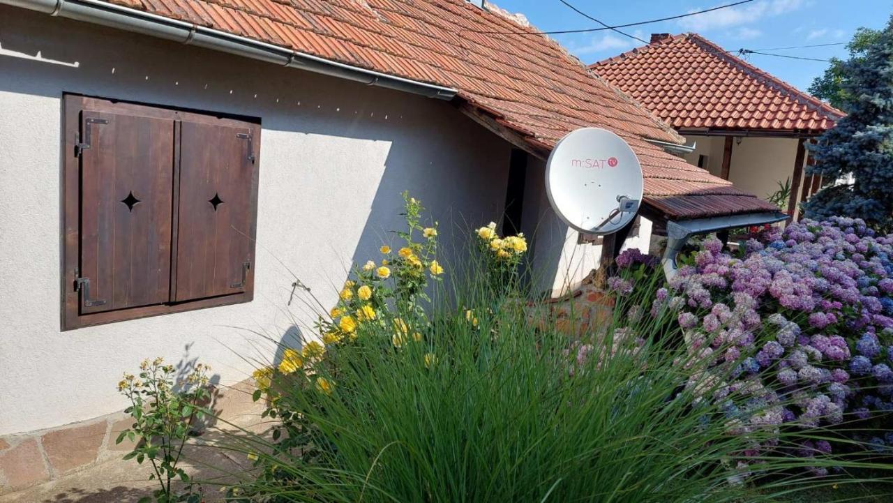 Apartment Nebojsa