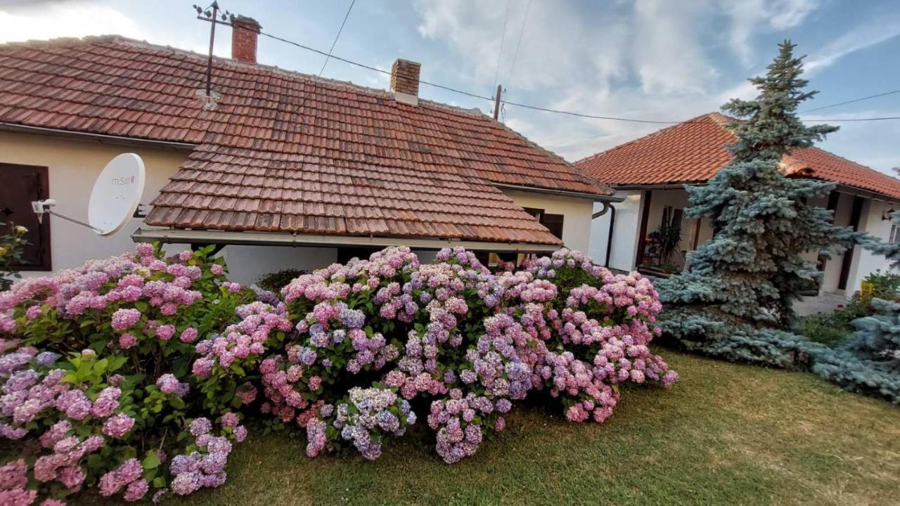 Nebojsa