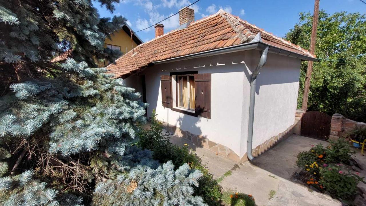 Nebojsa Apartment *