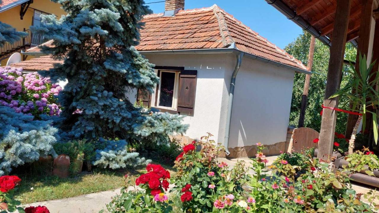 Nebojsa
