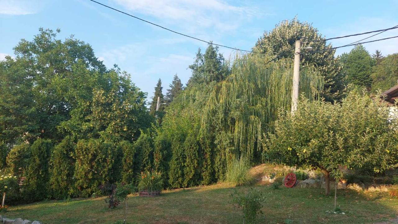 Nebojsa Apartment