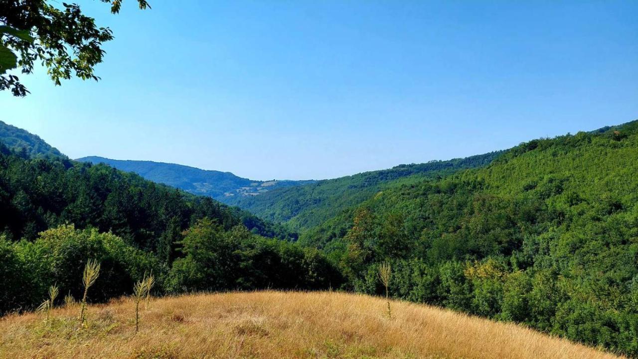 Nebojsa Rudnik