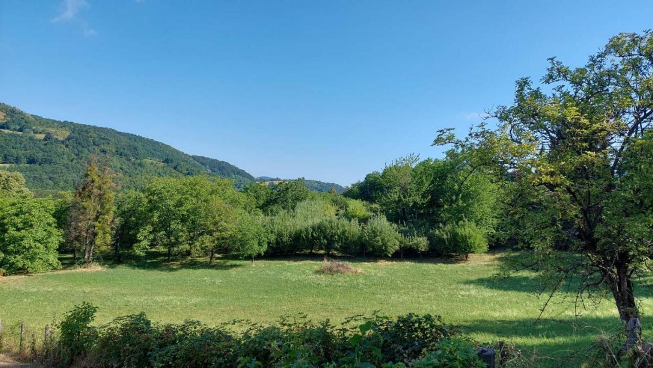 Nebojsa Apartment Rudnik